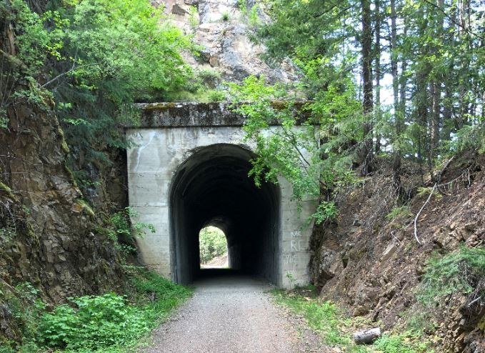 A trail leads through a tunnel in a hillside, beset on either end by vegetation.