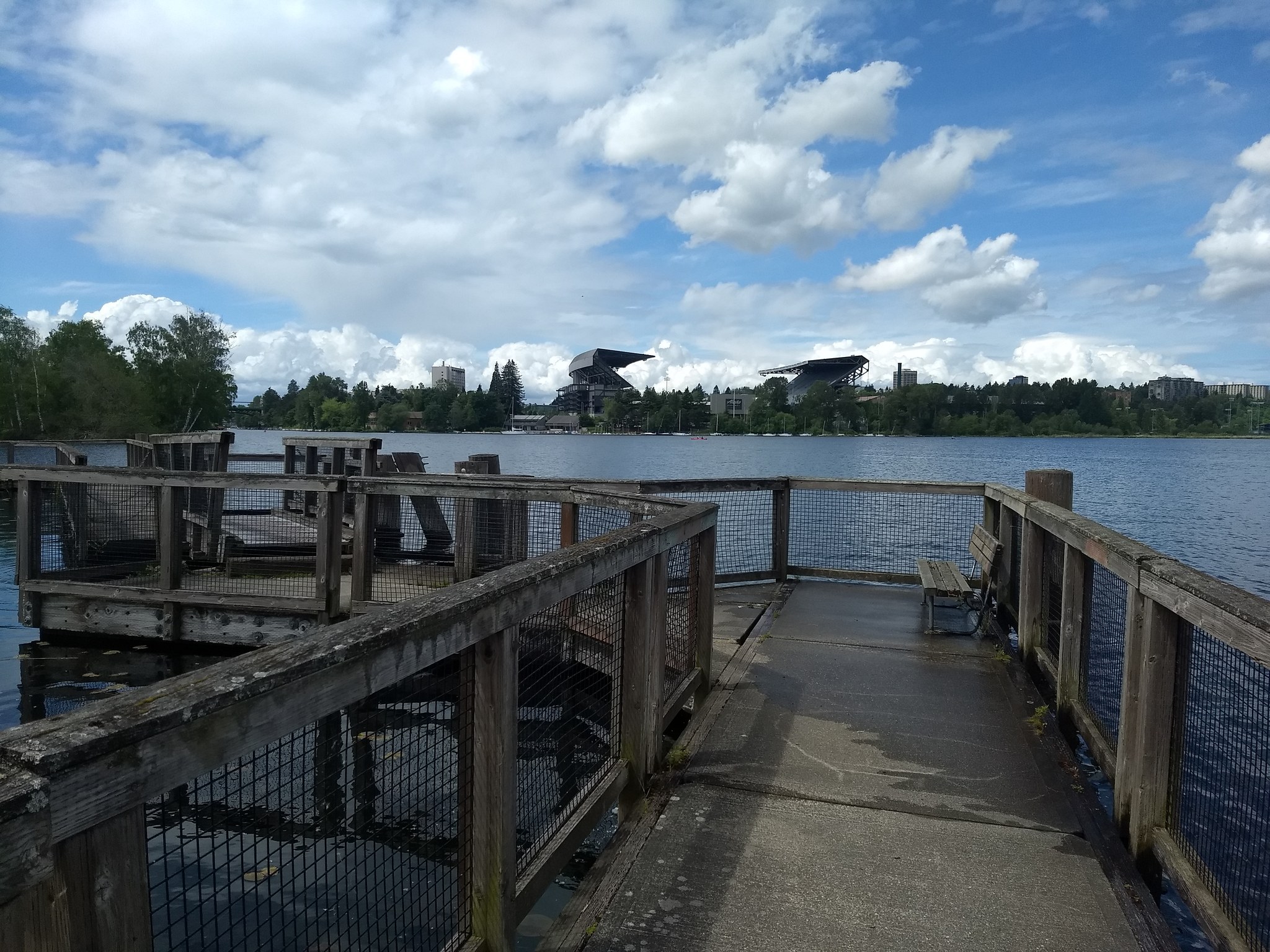 UW stadium from Foster Island boardwalk. Photo by nwroth.