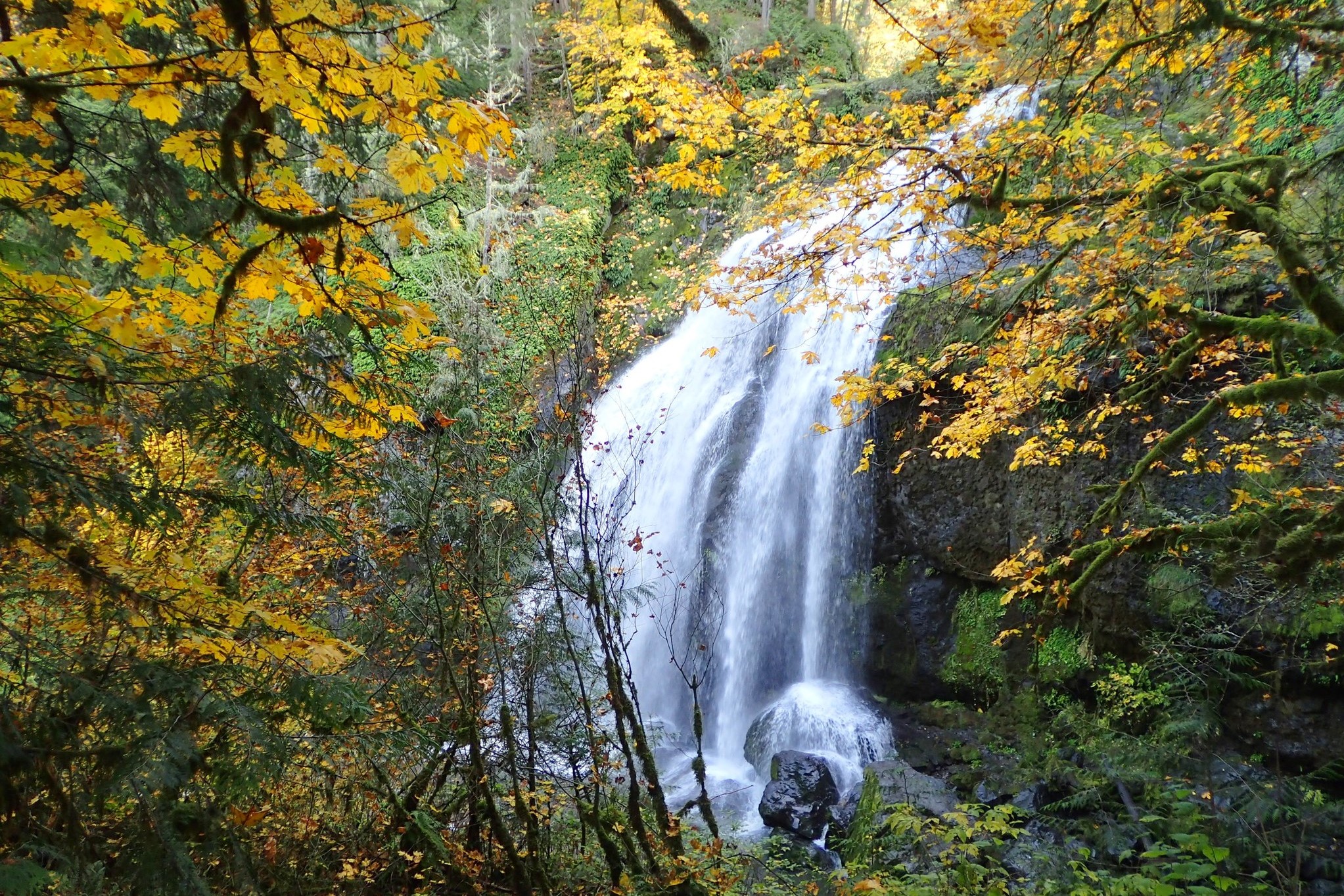 Little Mashel Falls. Photo by Mare..jpeg