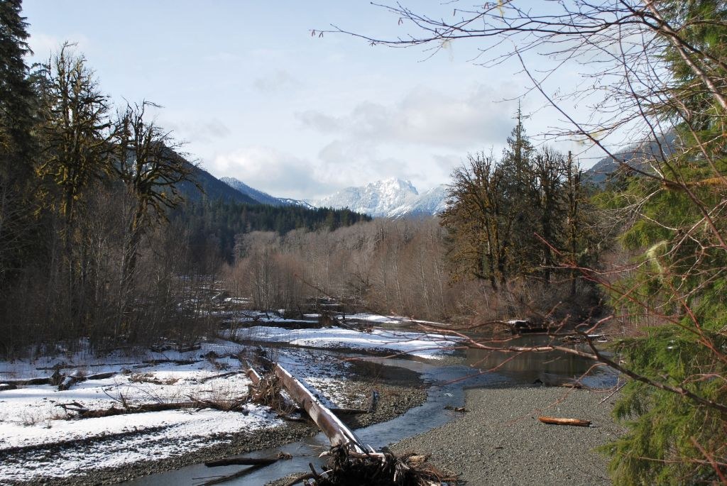 Lower South Fork Skokomish. Photo by Wendy W..jpeg