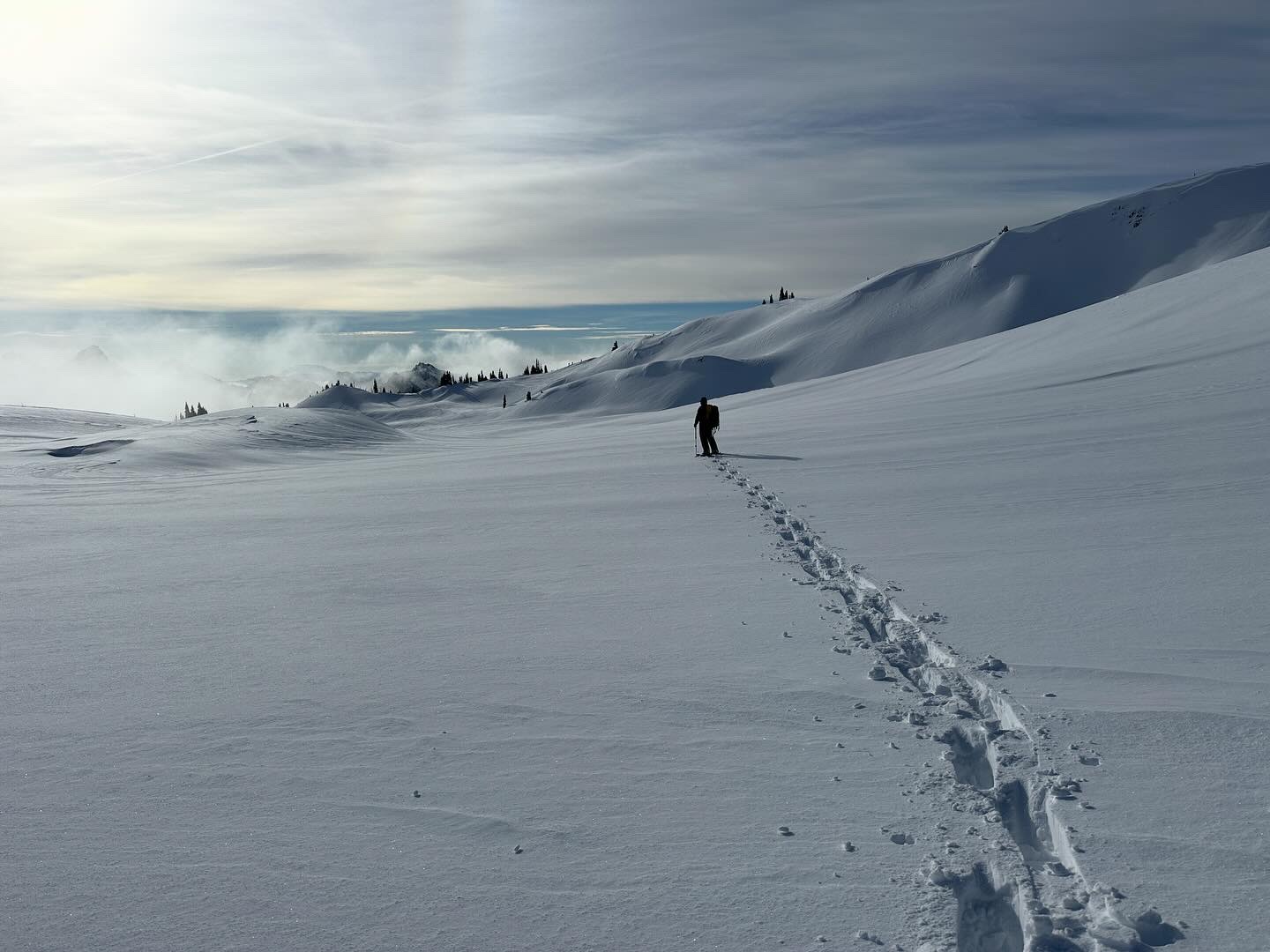A snowshoer breaks trail at Mazama Ridge. Photo by cristina.