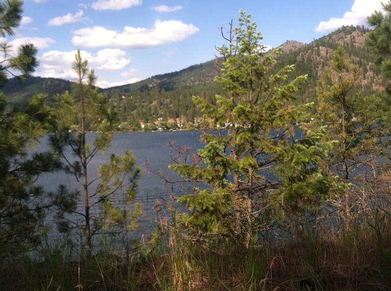 McLellan Conservation Area. Photo by jimmyjam.