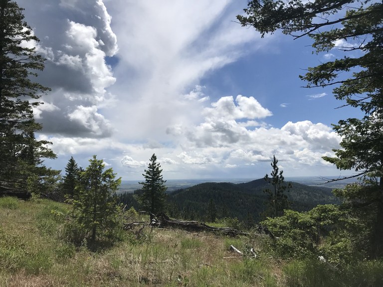 Mica Peak. Photo by TrailKat. 