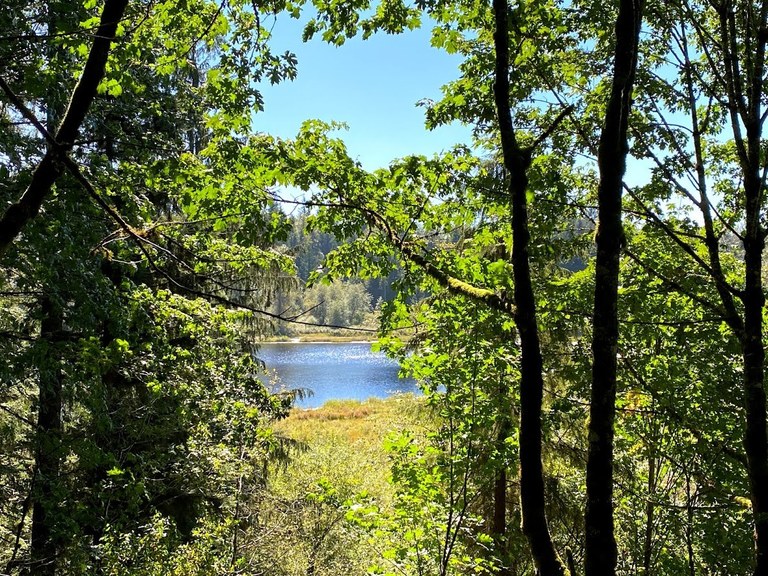 Moss Lake. Photo by Yoh! Member.