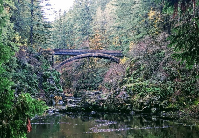 Looking upriver at an elegantly curved arch of an old stone bridge surrounded by a mossy forest. 