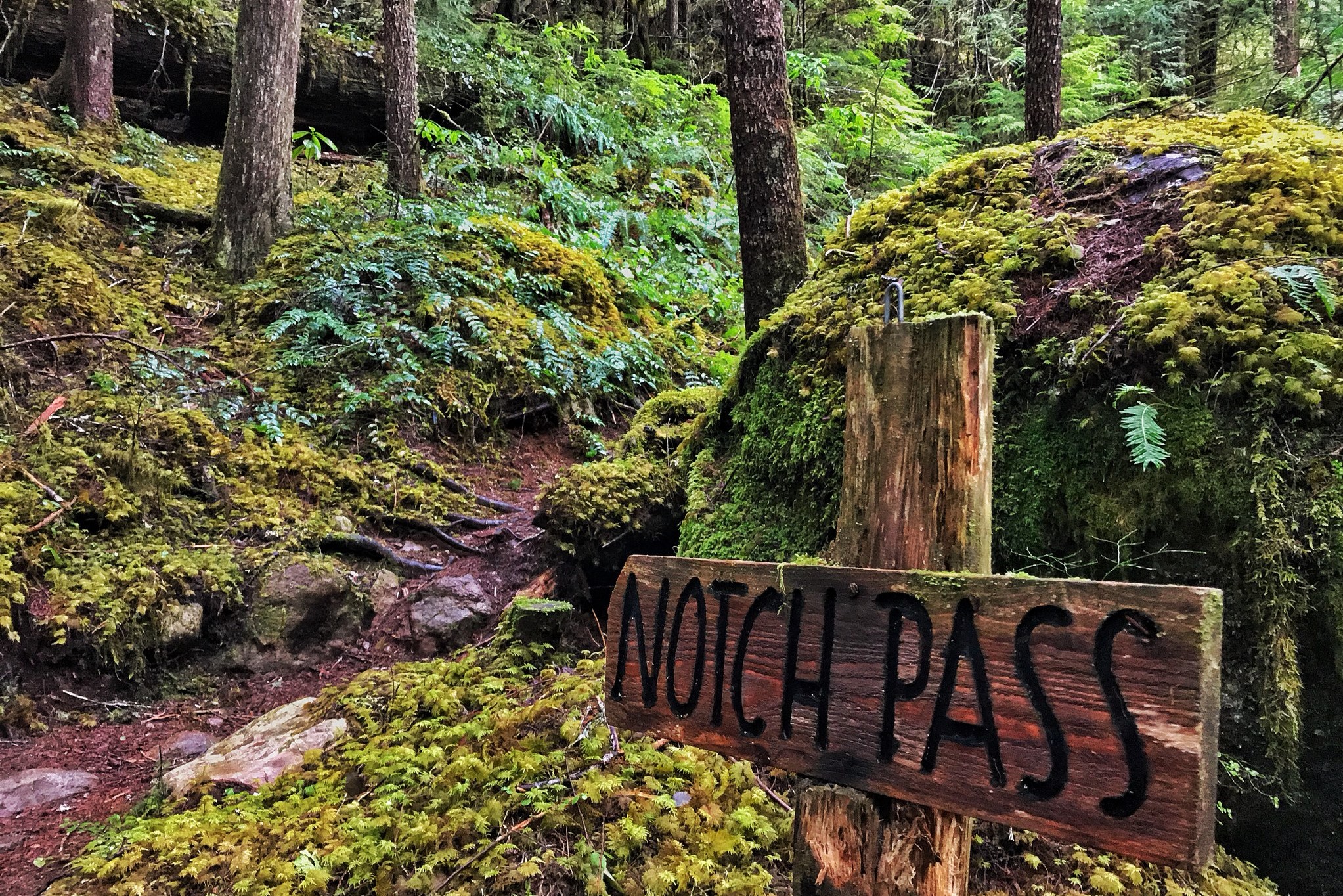 Notch Pass. Photo by cswestii..jpeg