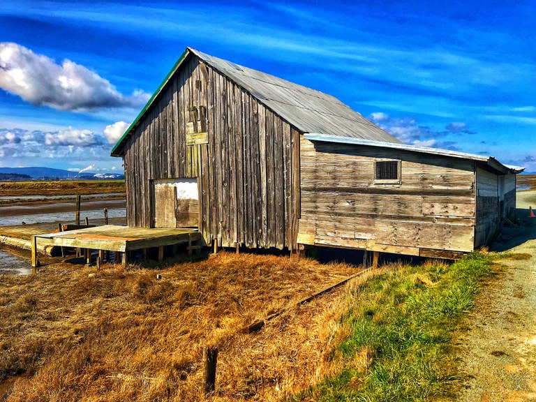 Padilla by ellieoutside.jpeg