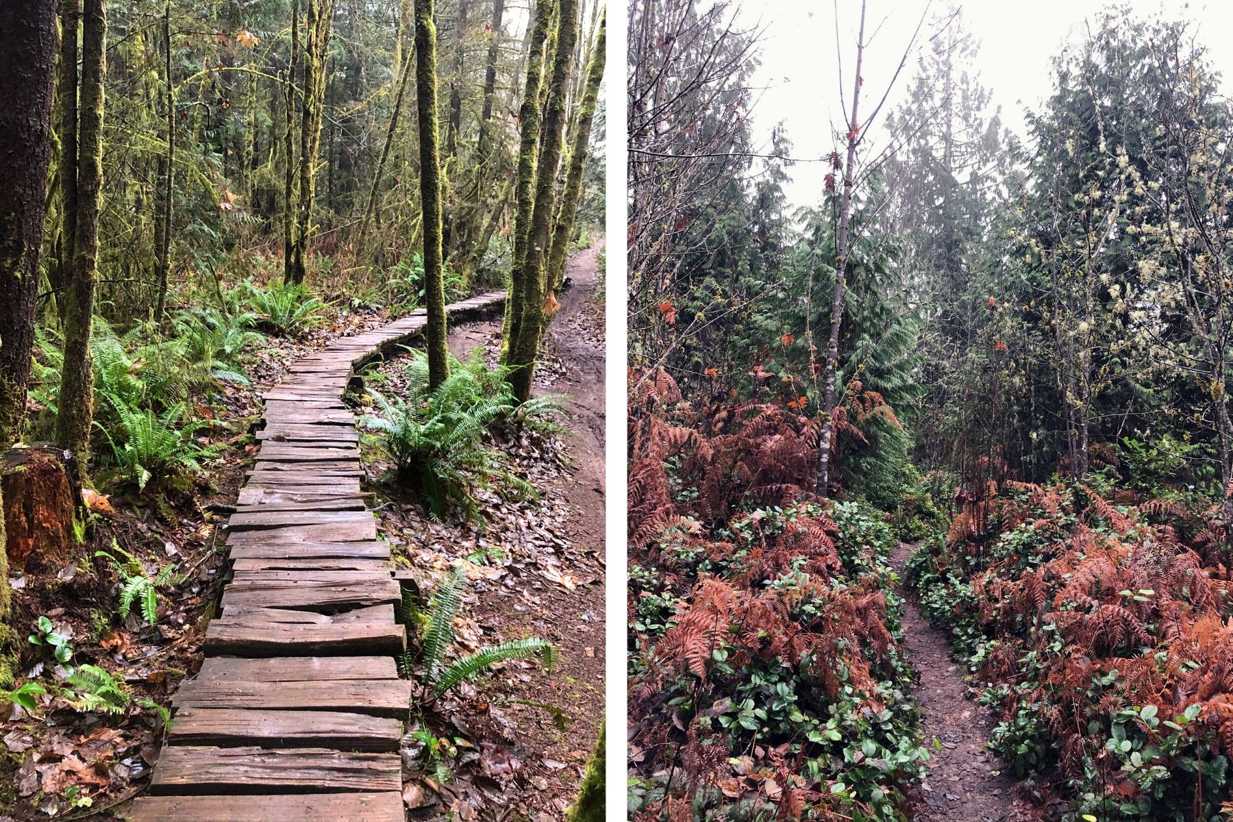 Paradise Valley Conservation Area. Photo by jessicajolene.jpg