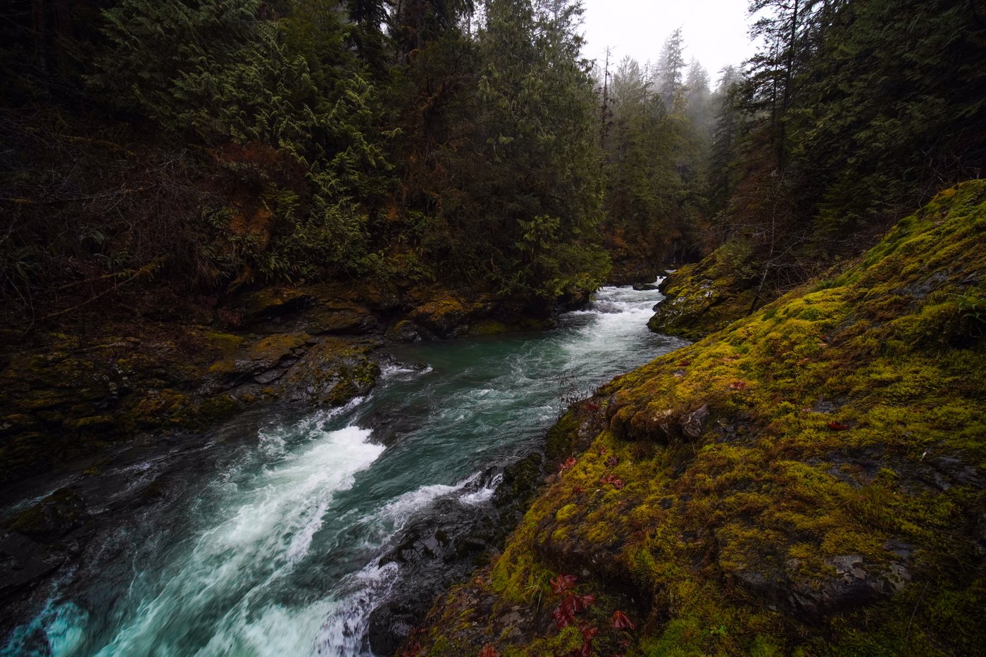 A river with turquoise water slides over a small waterfall amid moss- and fern-covered rocks. 