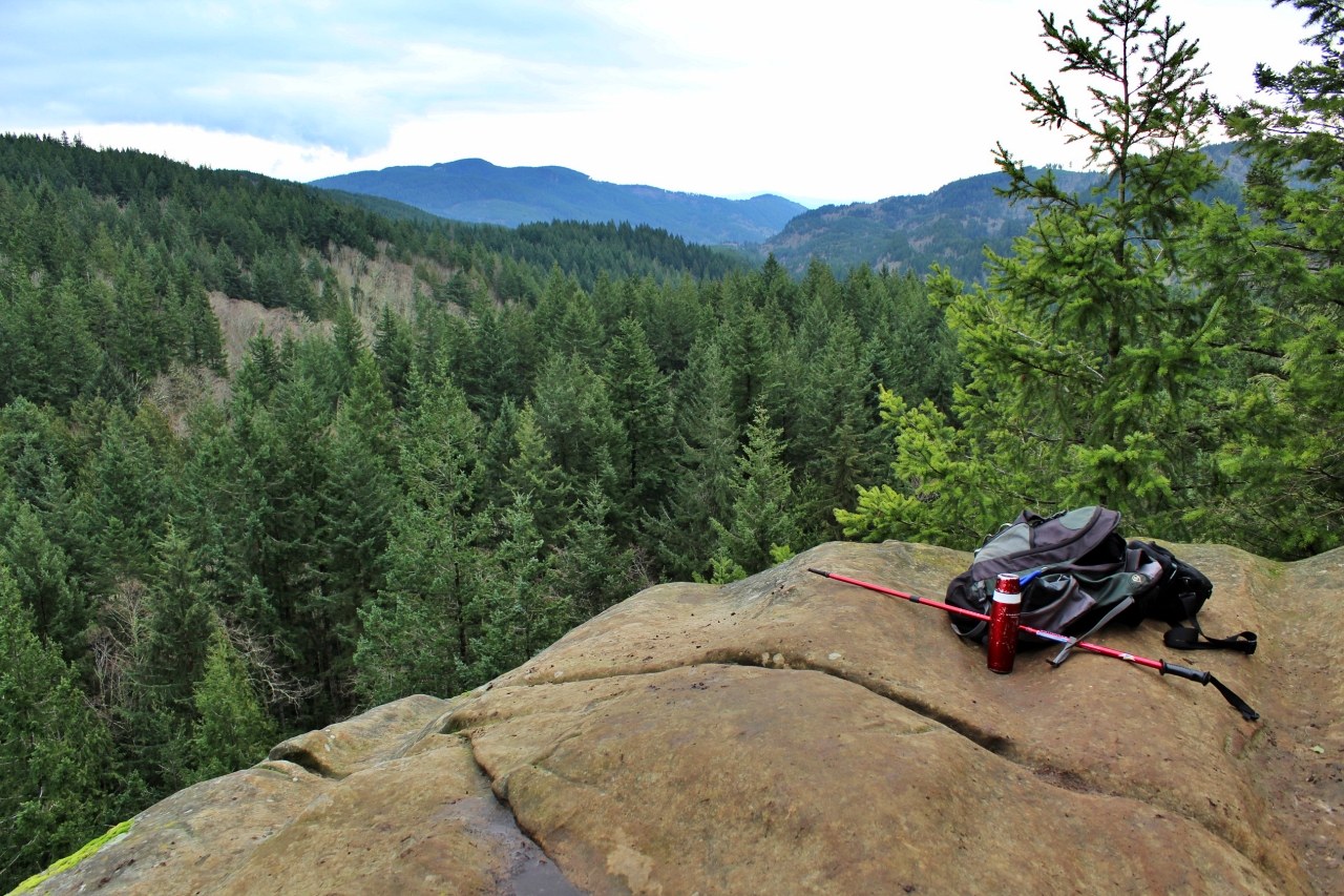 A bare rock overlooking views of forest and Puget Sound. Photo by OneHundredMilesAYear. 