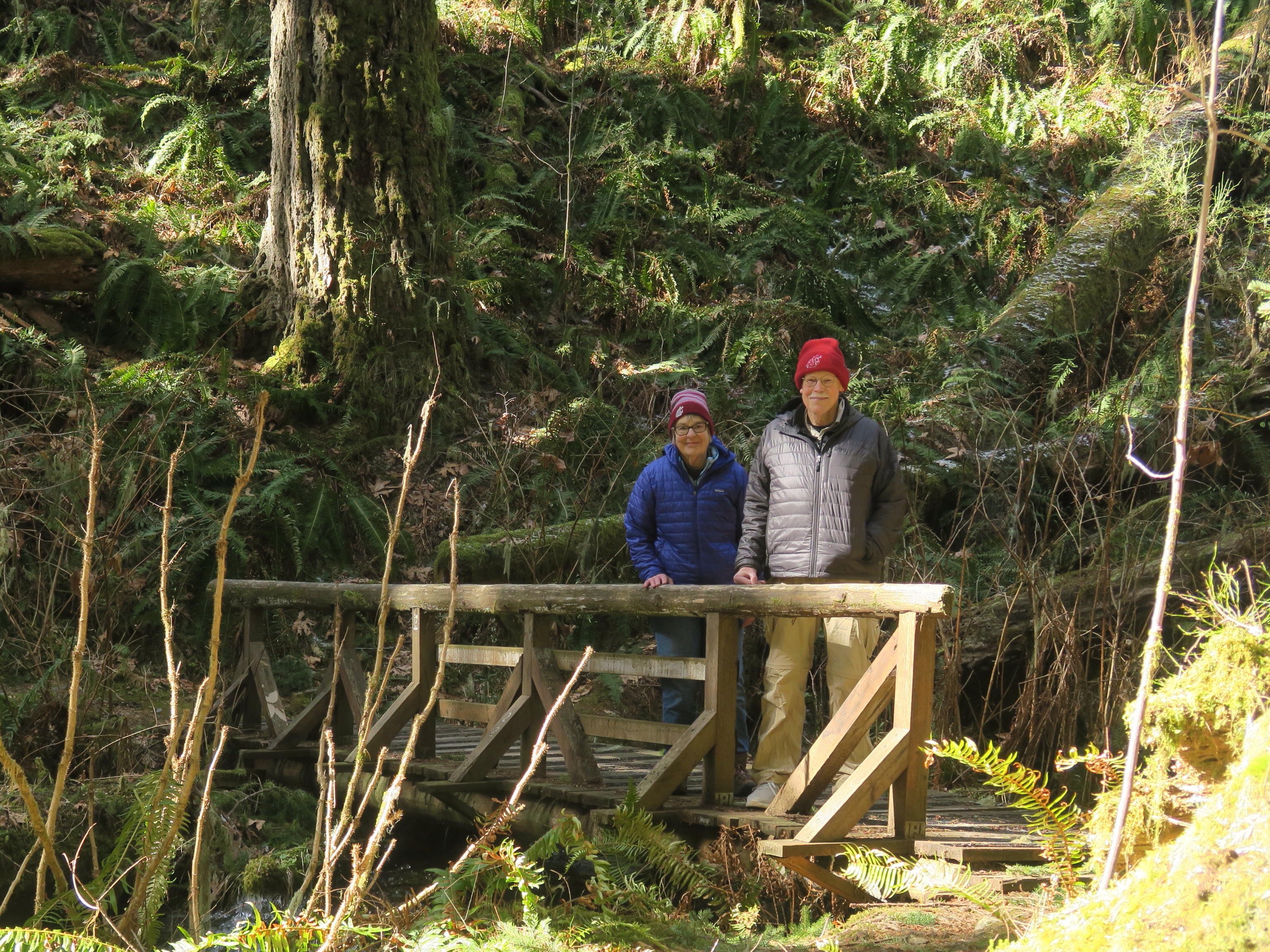 Rockport State Park. Photo by Muledeer. Two hikers stand on a bridge at Rockport State Park. Photo by Muledeer.