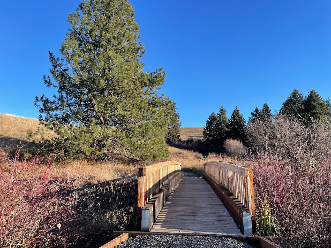 Rose Creek Nature Preserve. Photo by RichP. A wooden bridge at the Rose Creek Nature Preserve. Photo by RichP.