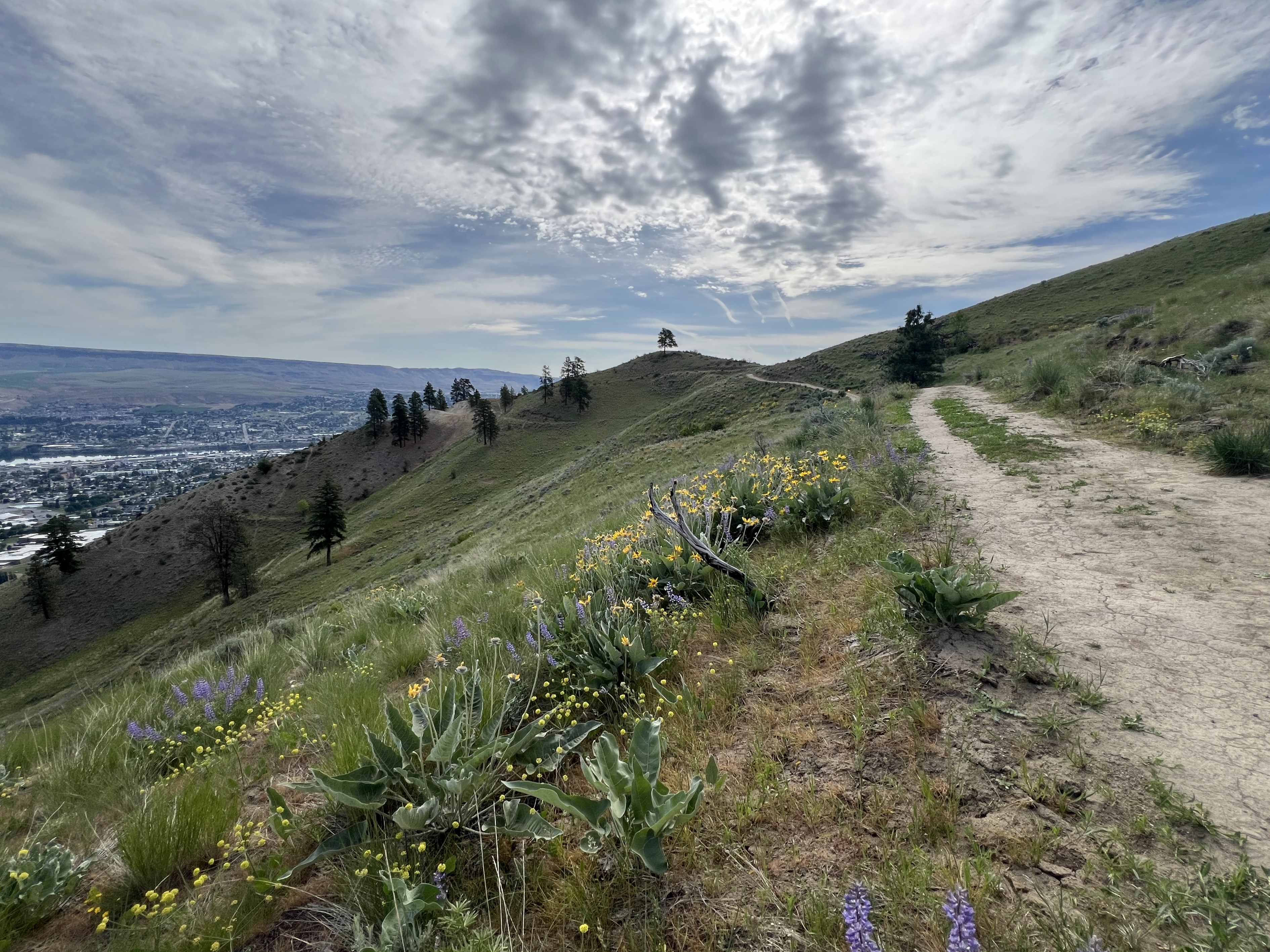 A cloudy day along the Saddle Rock Traverse trail, which connects the Jacobson Preserve and Saddle Rock Natural Area. Photo by trip reporter Handbook.