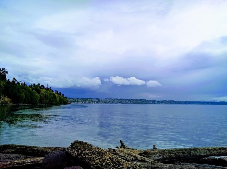 Water laps at a rugged shoreline with large stones and felled logs.