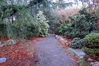 Seattle Chinese Garden in winter.