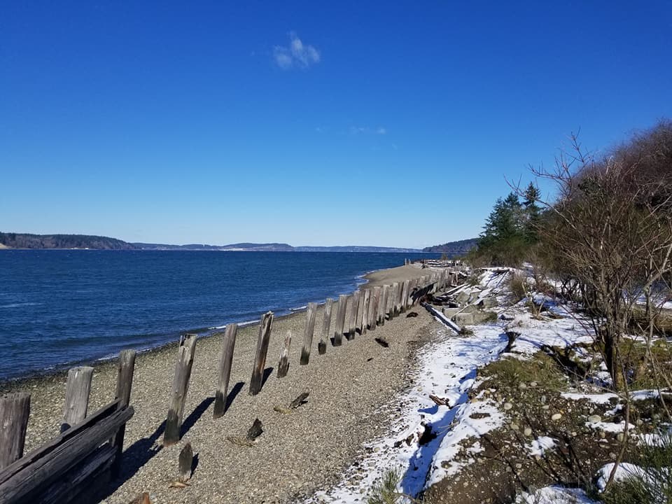 Sequalitchew Creek Photo by Bobbi Jean.jpeg