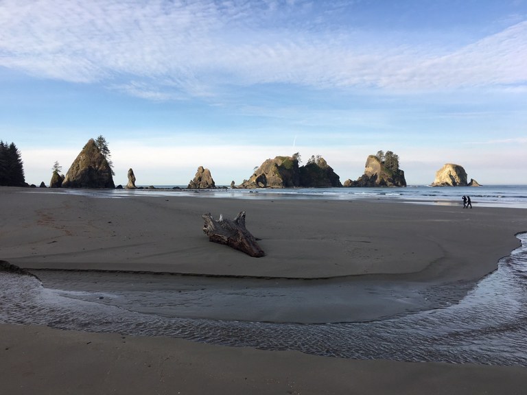 Shi Shi Beach by Kiloa.jpeg