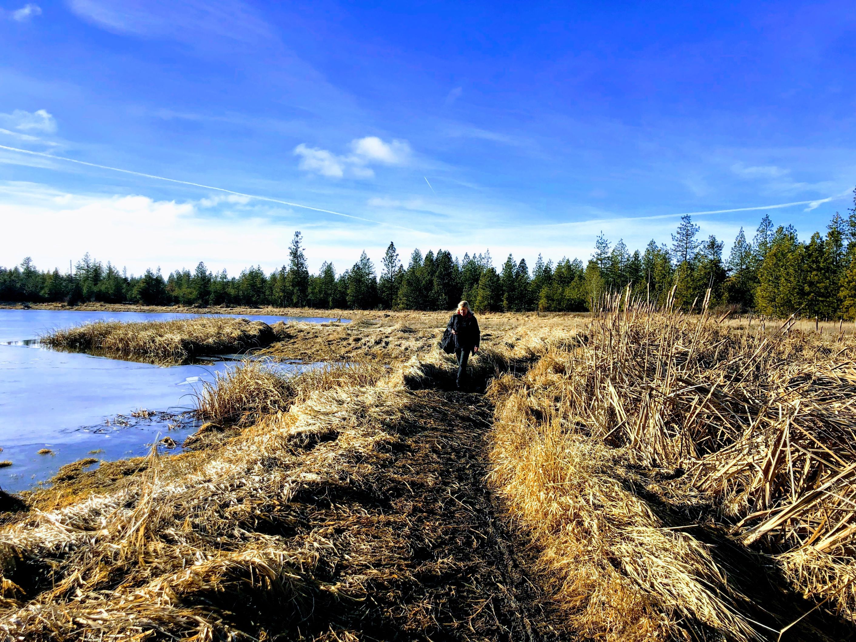 Slavin Pond Loop. Photo by TrailKat. A hiker on the trail on a cold clear day at the Slavin Pond Loop. Photo by TrailKat.