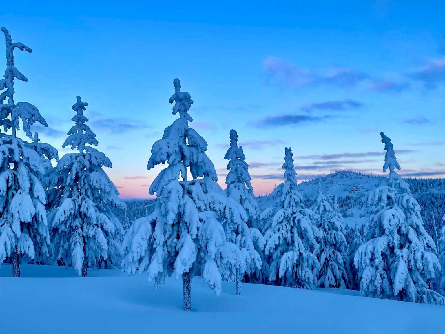 Snow-covered trees on Snow Peak. Photo by Jeneffnh.