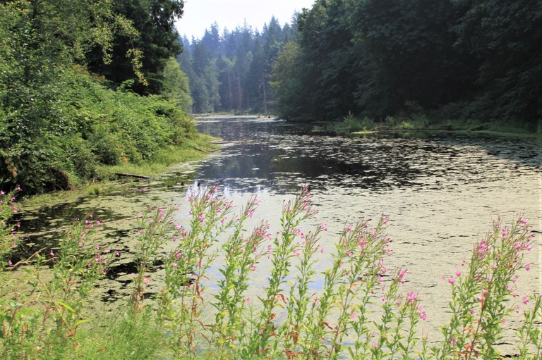 Stimpson by parisrobin.jpeg