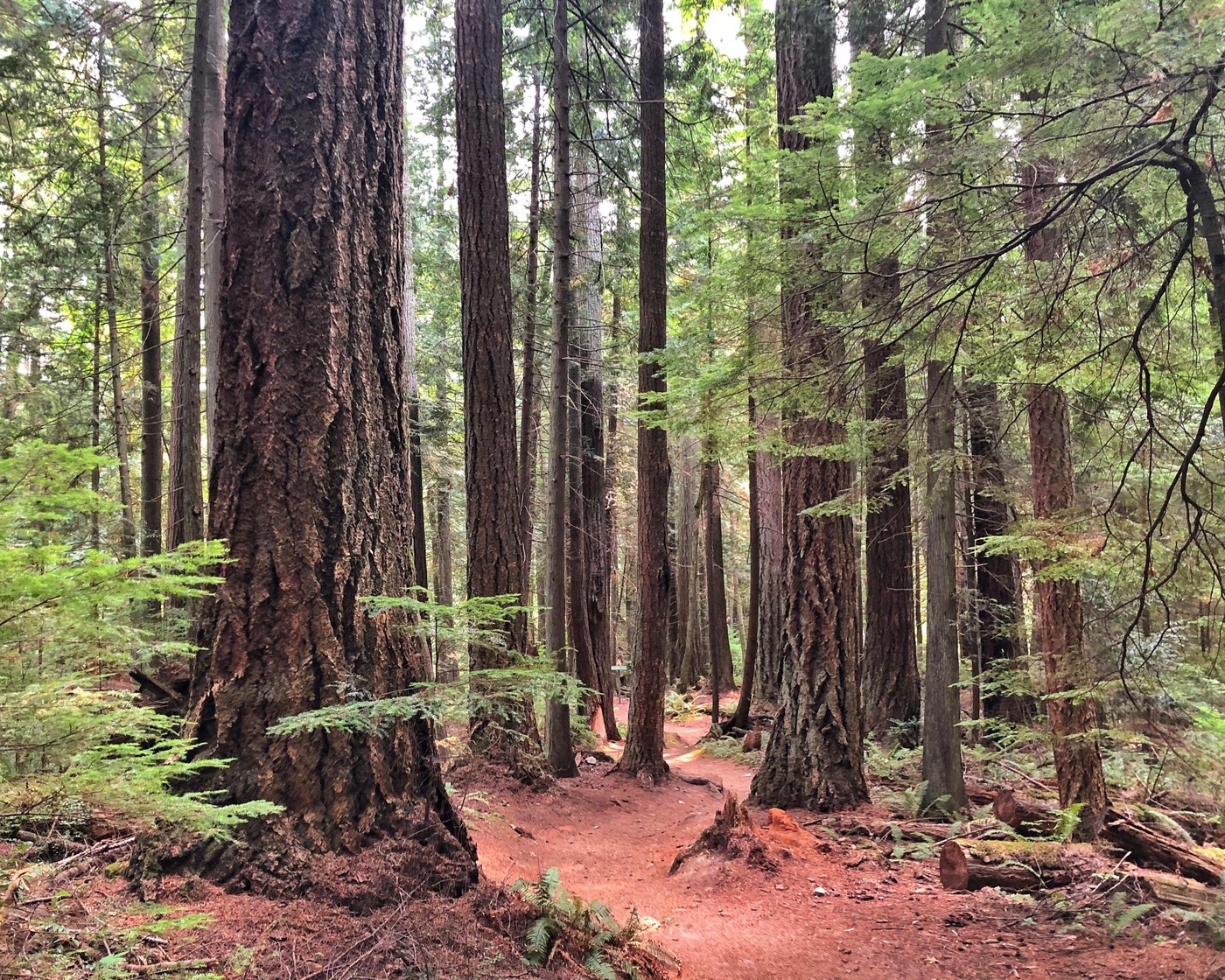 Stimpson Nature Reserve. Photo by twokidsbadknees.