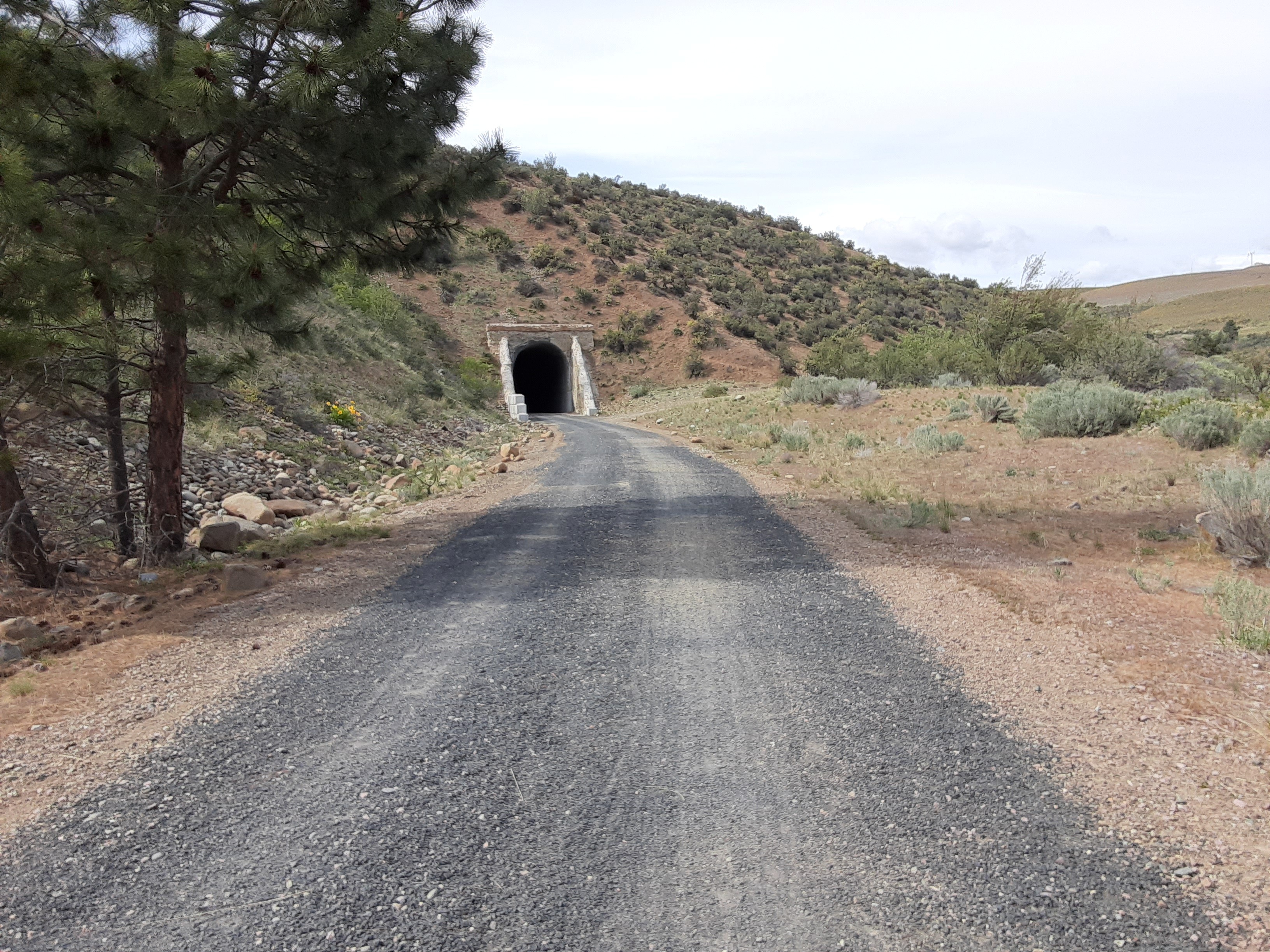 One of the old railroad tunnels along the Palouse to Cascades Trail near the Thorp Trailhead. Photo by trip reporter Bluebellied Toad.