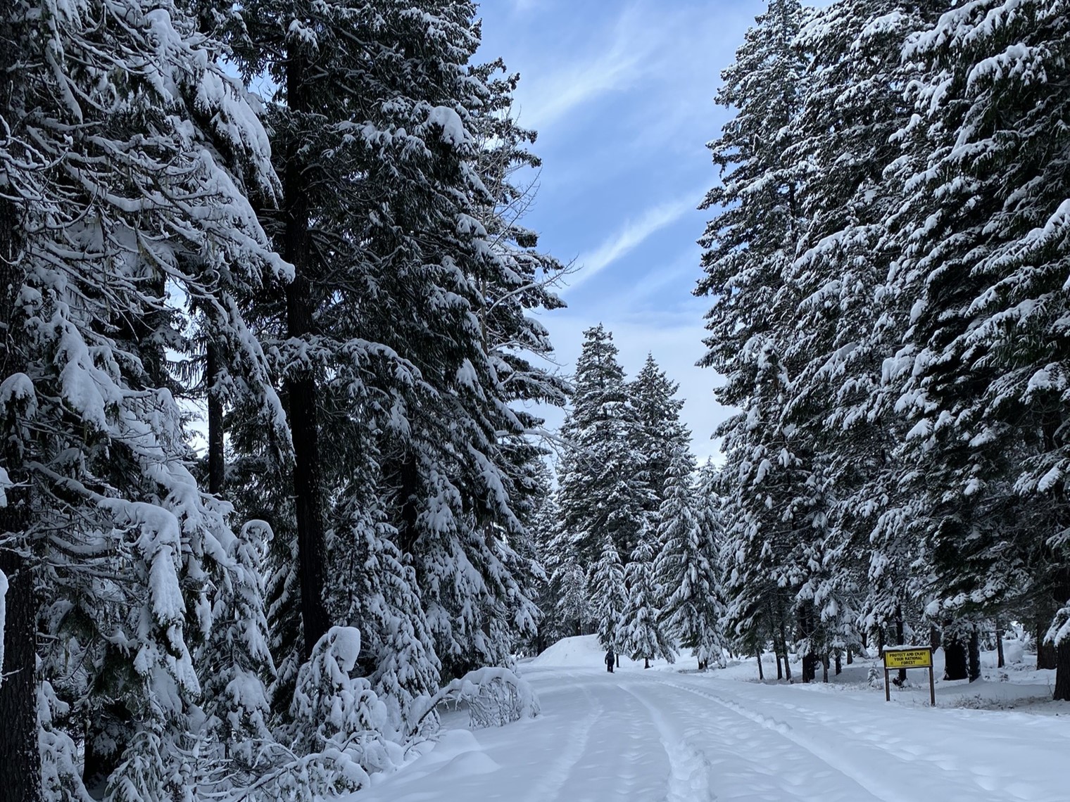 A snowshoer on the Tieton River Meadows. Photo by motherofadventure.