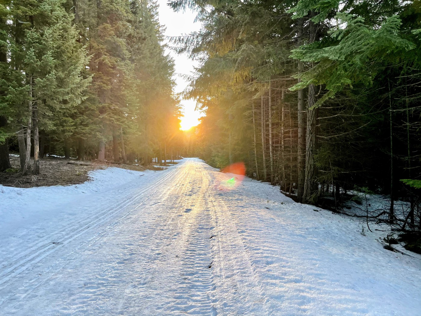 Tieton River Meadows Snowshoe. AllOfUs. A snowy road stretching into the distance where the sun is setting through the trees.