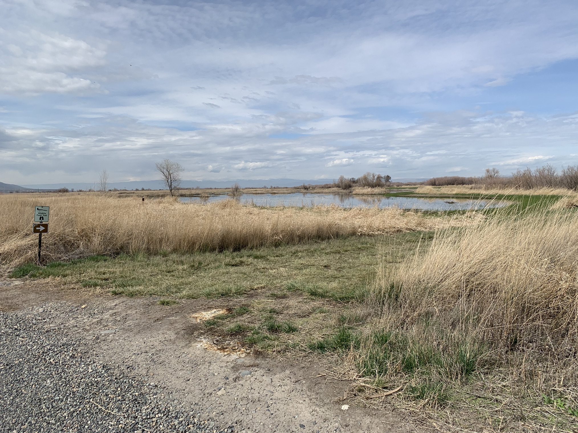 Toppenish National Wildlife Refuge by laurie.dermer