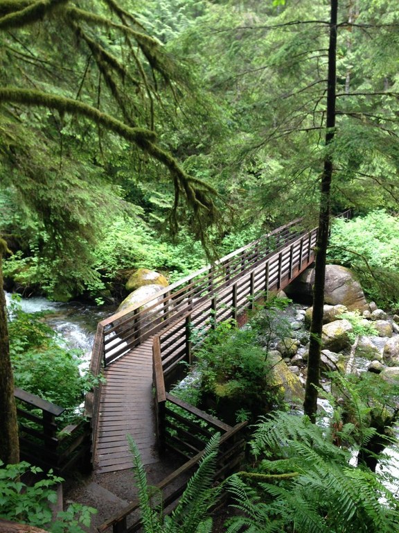 A boardwalk with stairs cuts through thick vegetation and over a rushing creek.