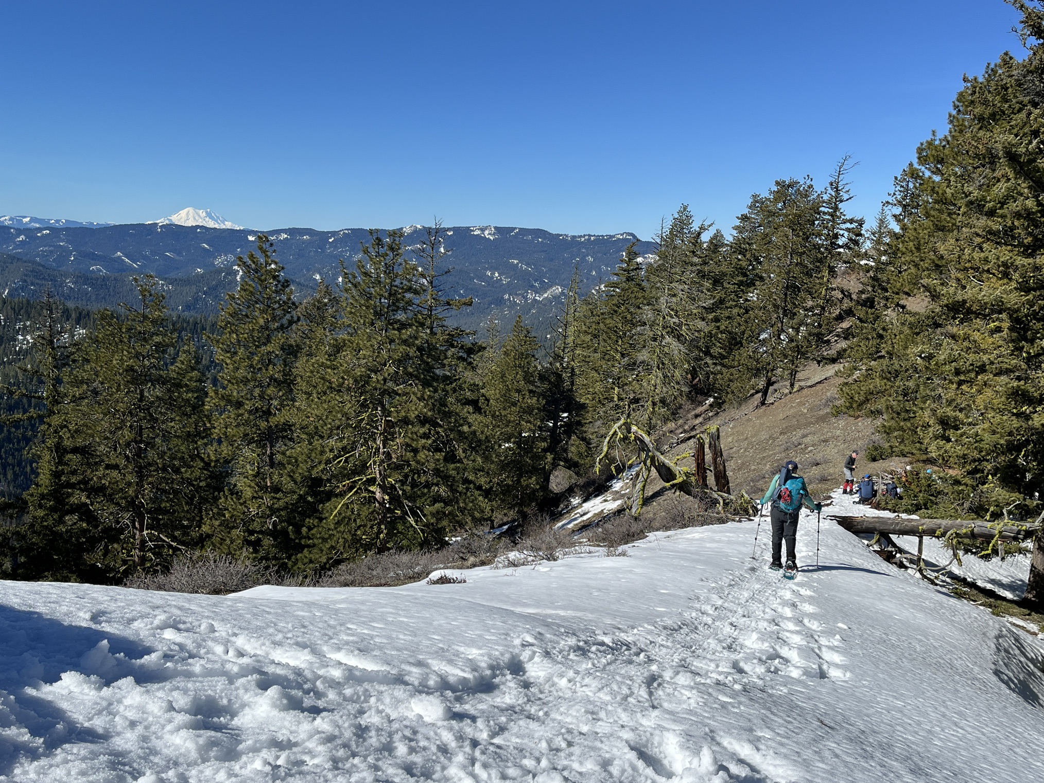 A snowshoer heads downhill on the Wenatchee Crest snowshoe. Photo by Redshirt.