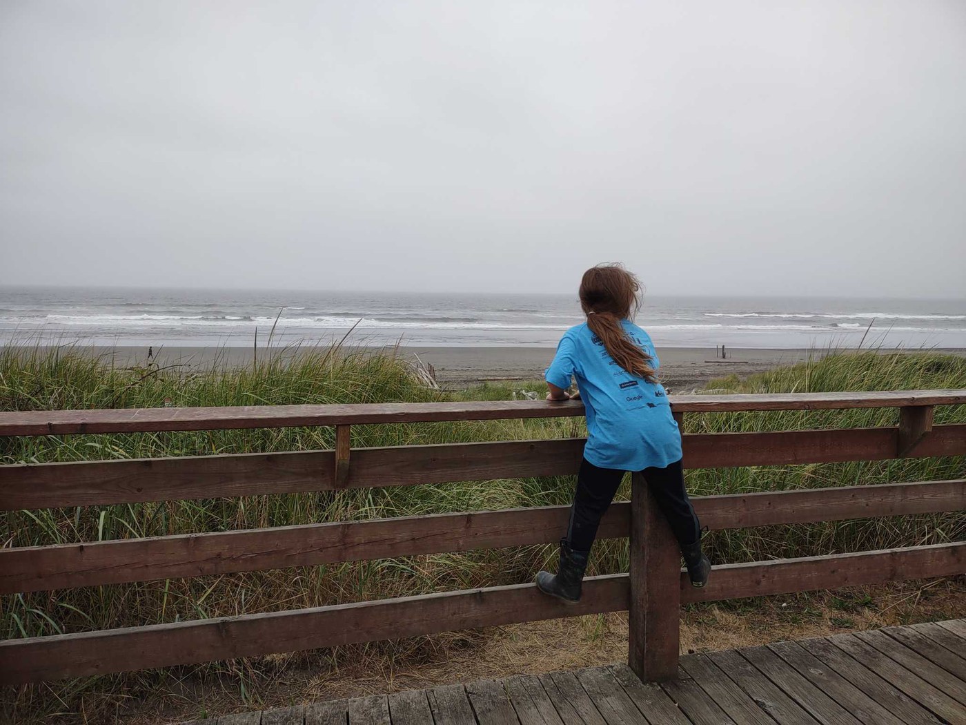 A child stands on the lower rung of a fence, watching the waves crash on a beach beyond. 