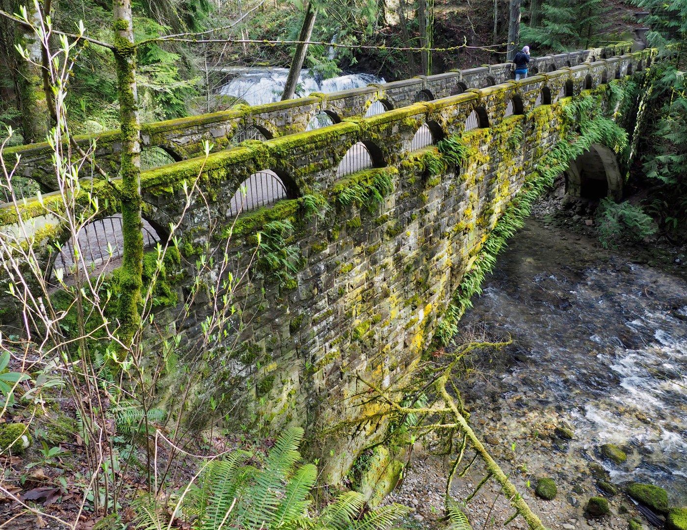 A mossy bridge over a waterfall. Photo by j brink. 