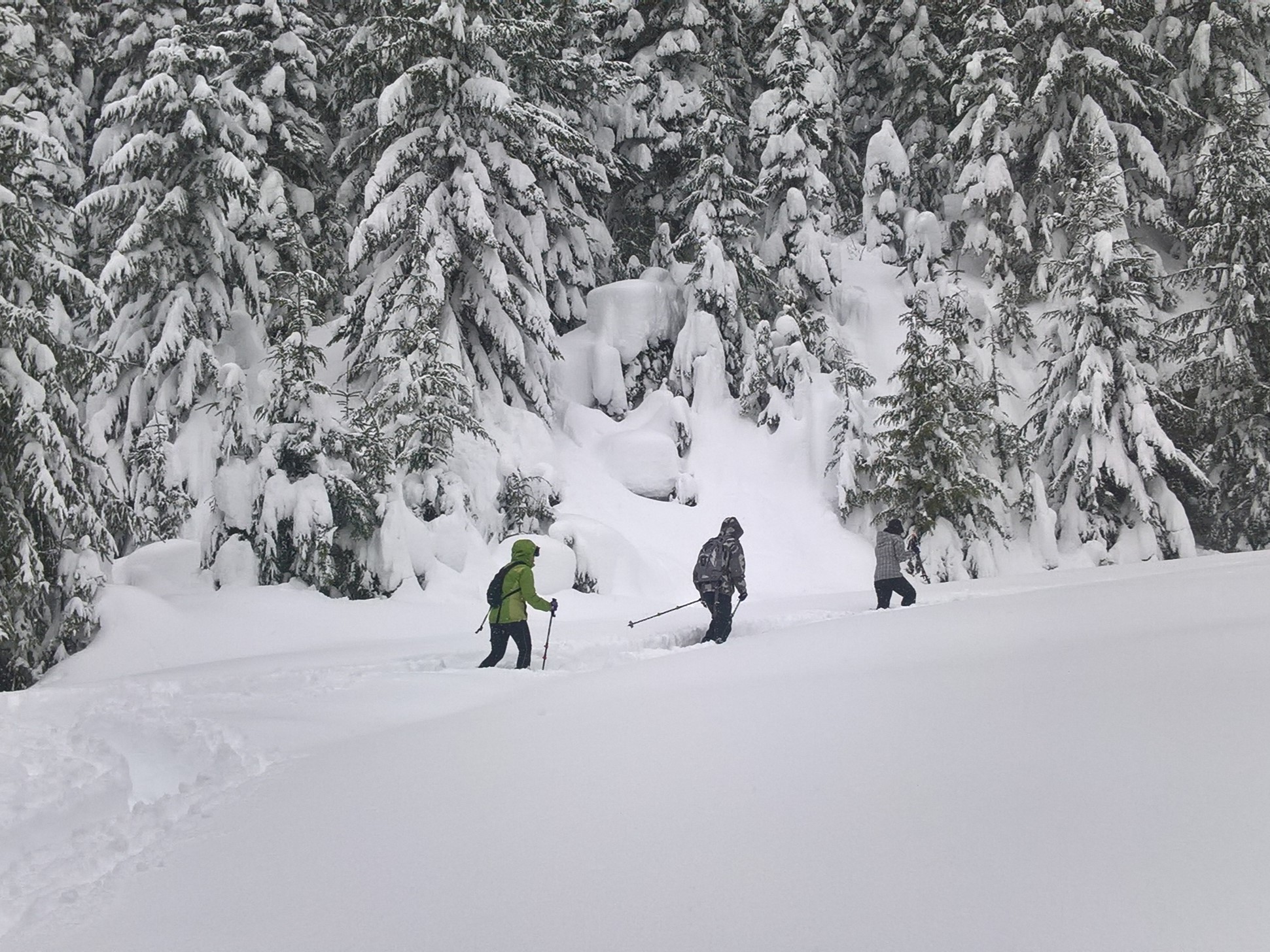 Snowshoes in deep snow on the White Salmon Road, also known as White Salmon Creek. Photo by LakeHiker.