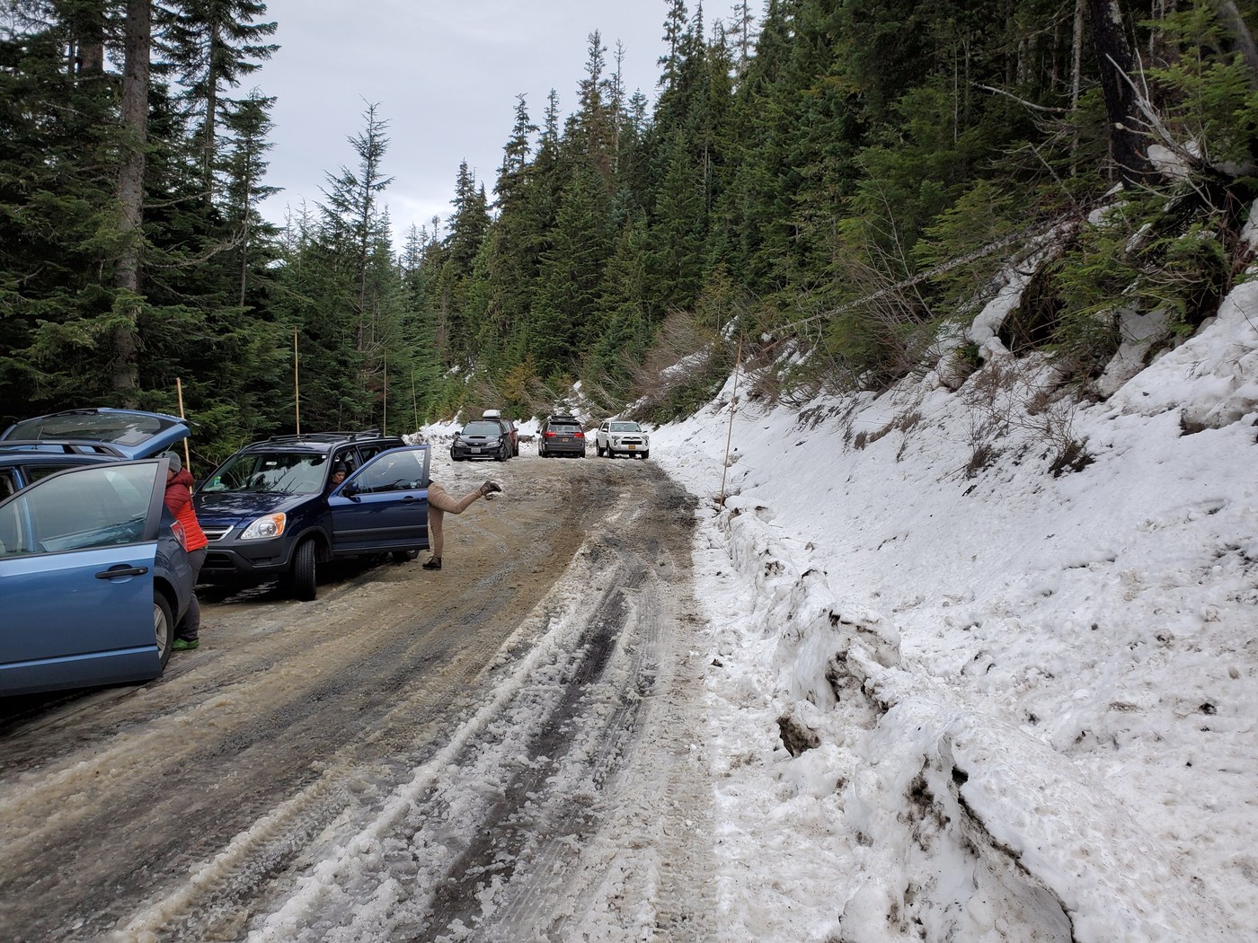 Several cars are parked along a snowy road. 