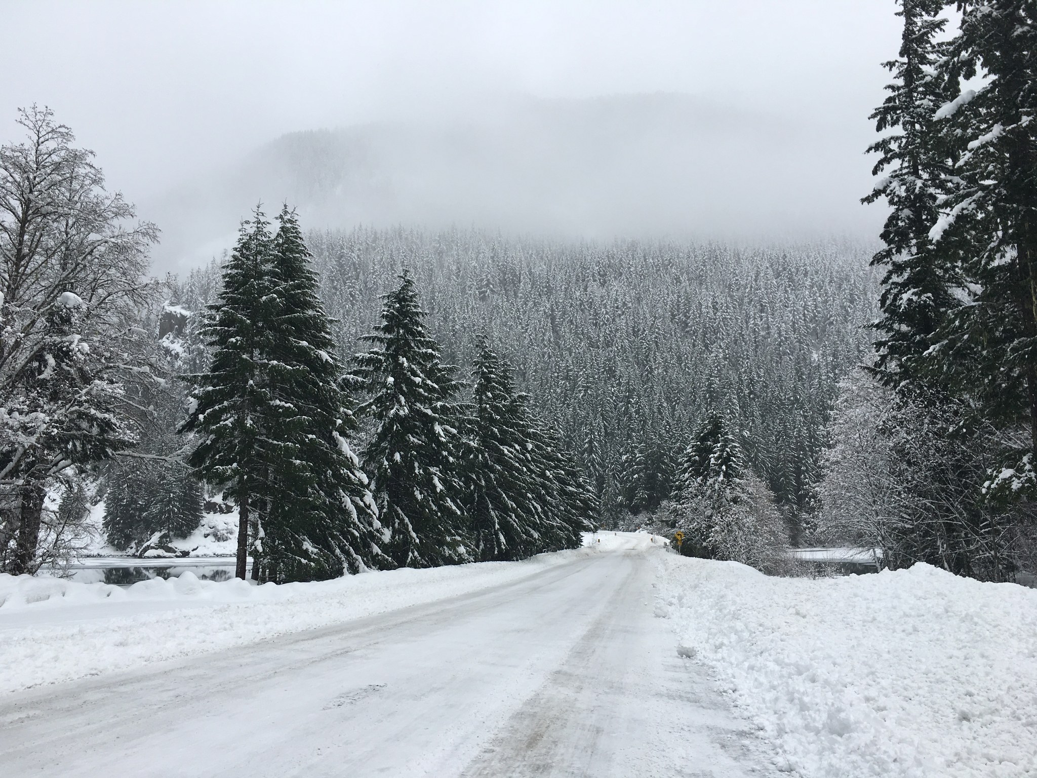 The path to Thunder Creek by David Cole.jpeg