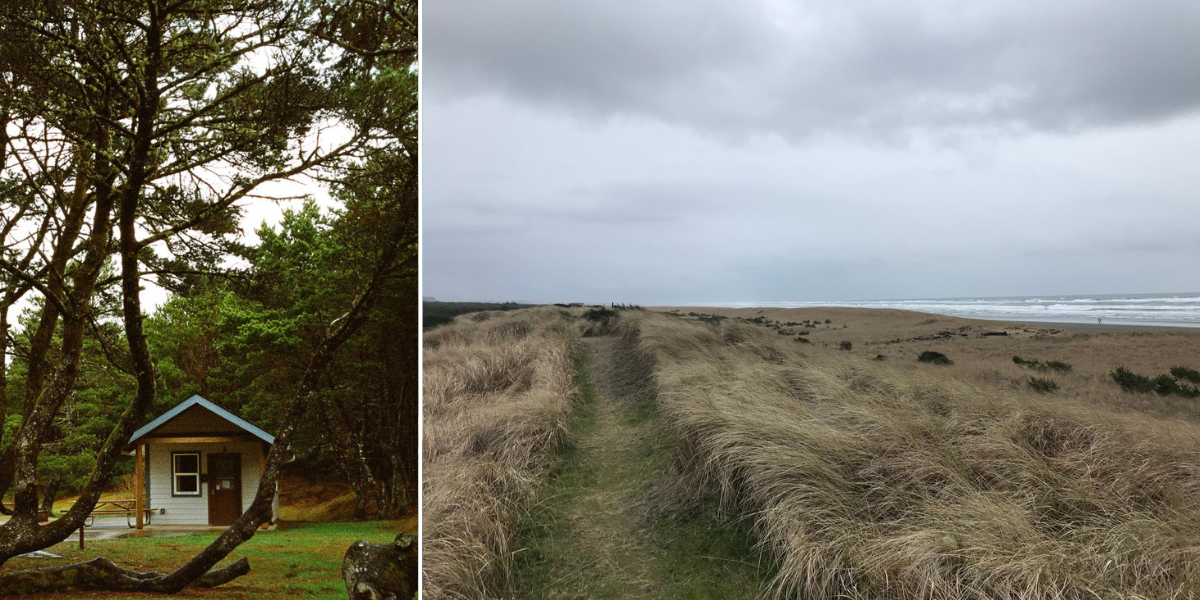 rental cabin and pines, trail through dunes