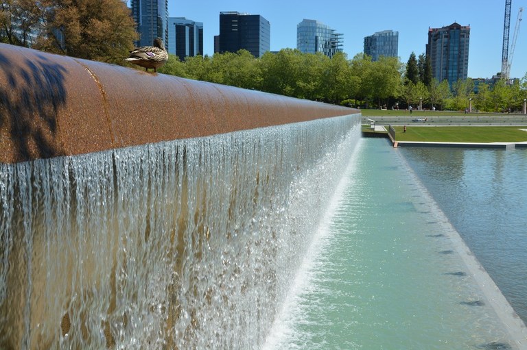 A fall of water into a pool with trees and the skyline of Bellevue in the background.  