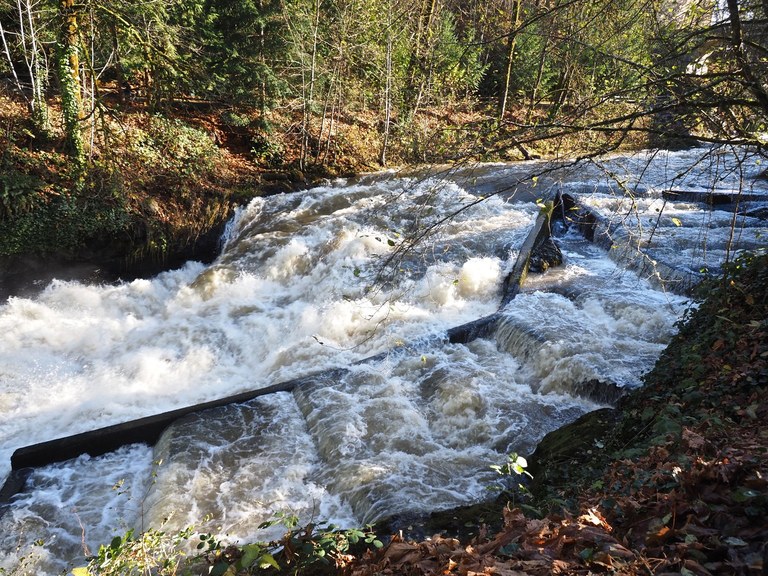 A rushing river flows over a fish ladder