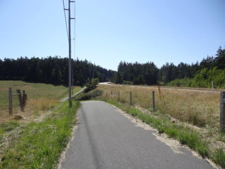 A gravel trail extends through a field into a forest 