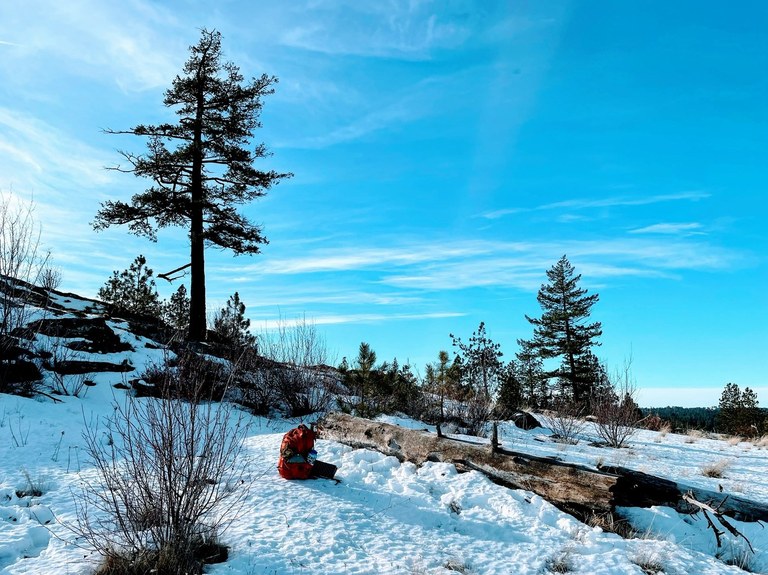 A snowy, stark hillside with a vivid blue sky