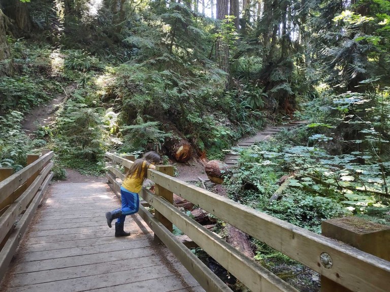 A kid stands on a wood bridge looking into the creek.