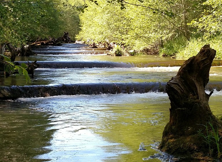 Several salmon ladders in a creek vanish into the horizon of a photo. 