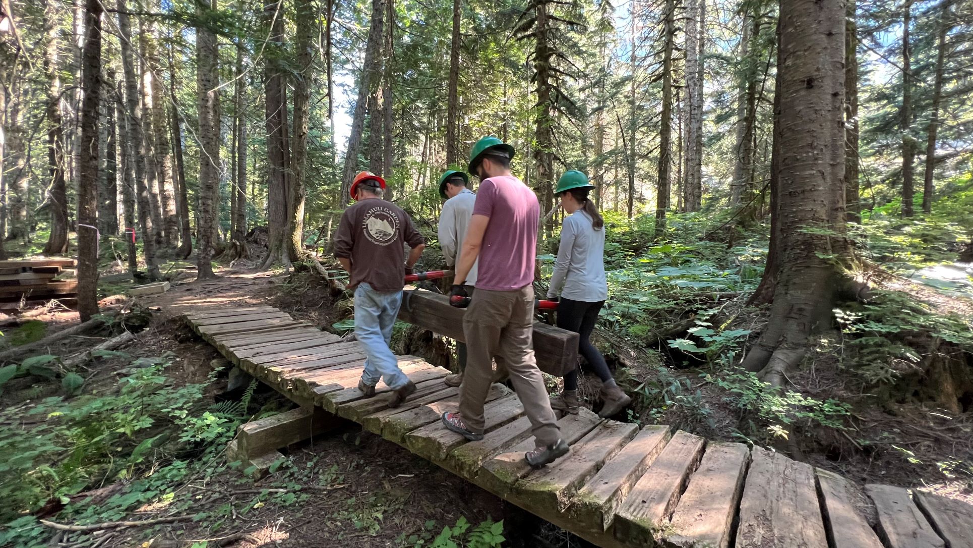 Crew members working together to carry a large post on a WTA work party at Franklin Falls. Photo by Joe Olbrych.