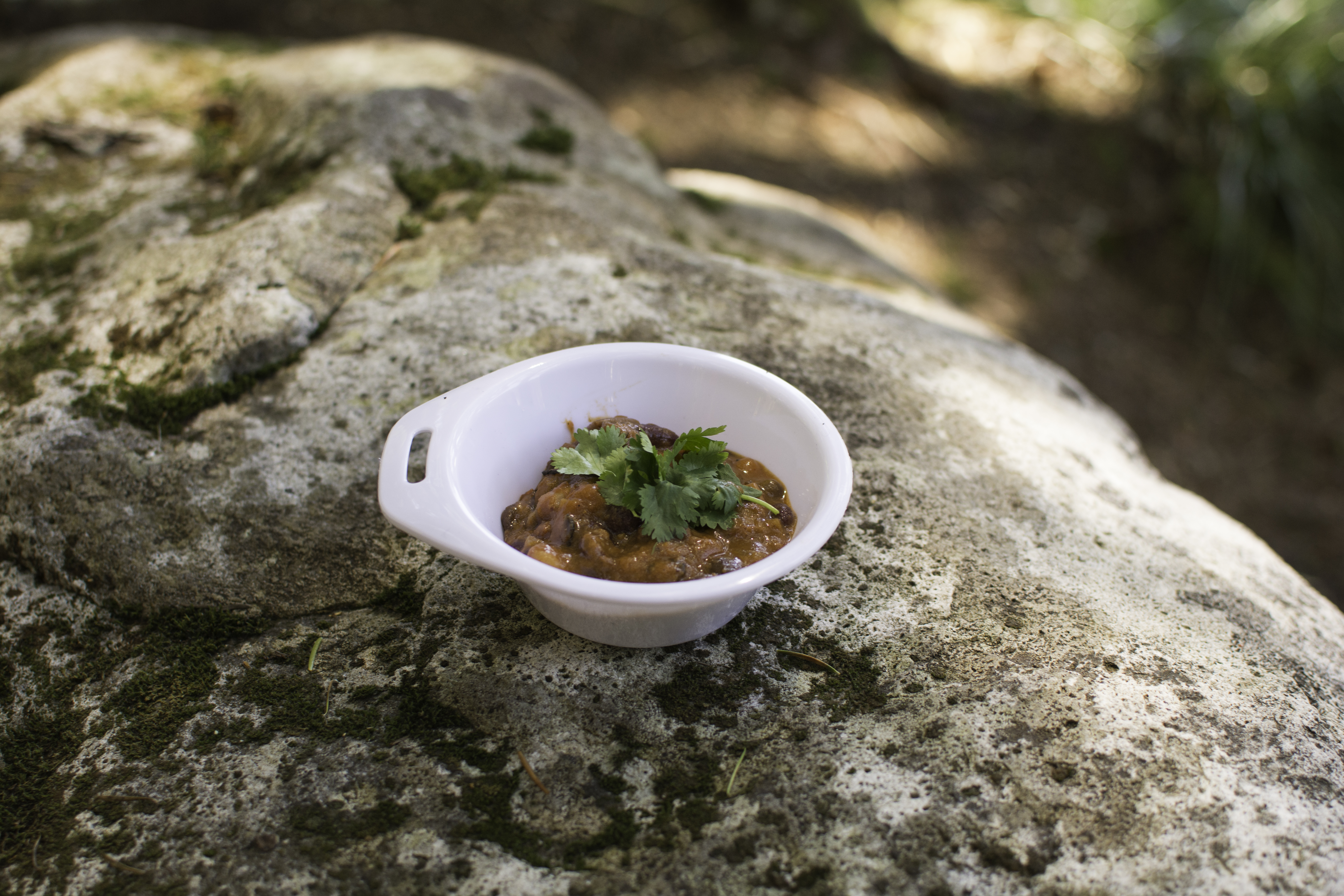 Food-12.jpg Chili by Erik Haugen-Goodman