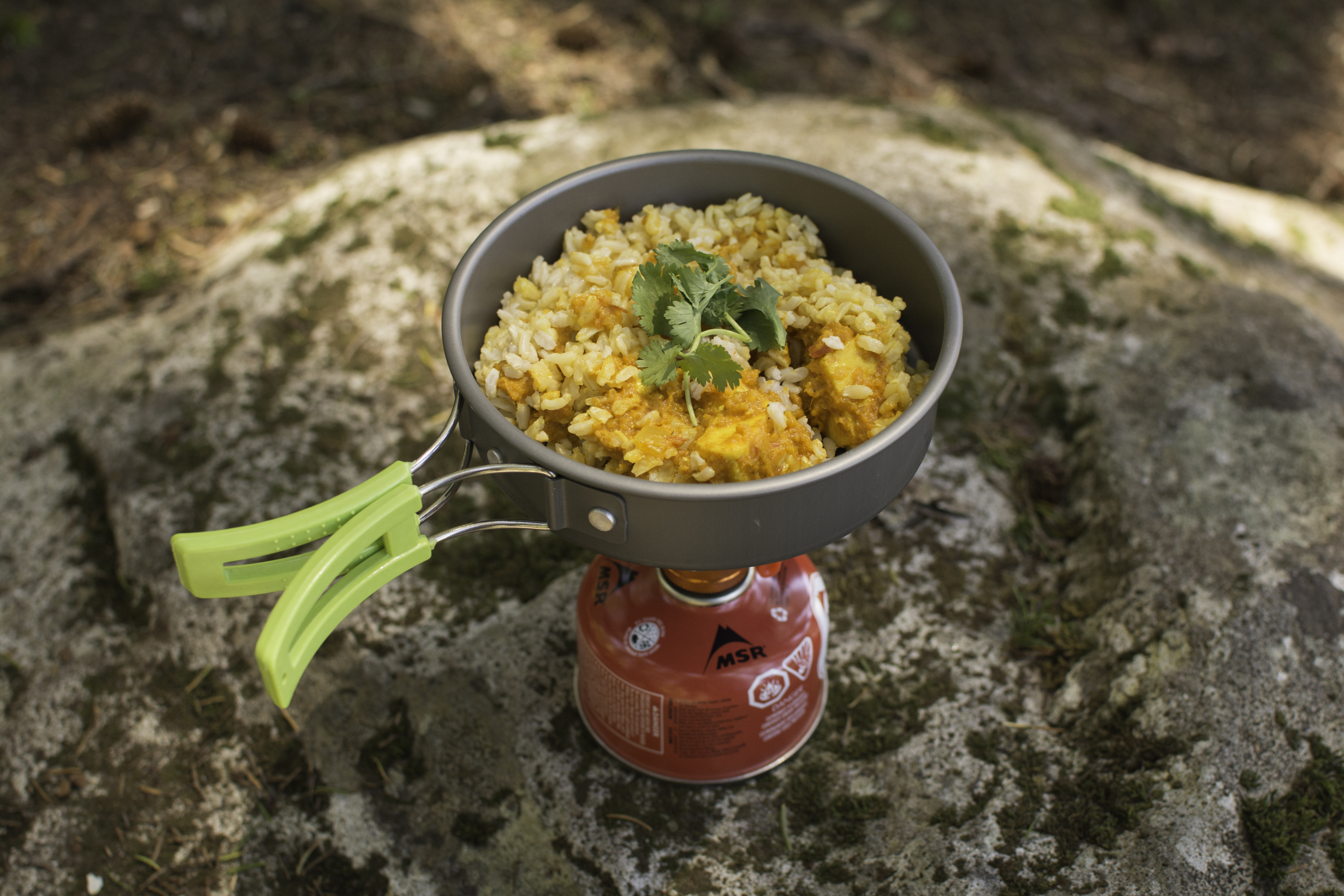 Curry by Erik Haugen-Goodman