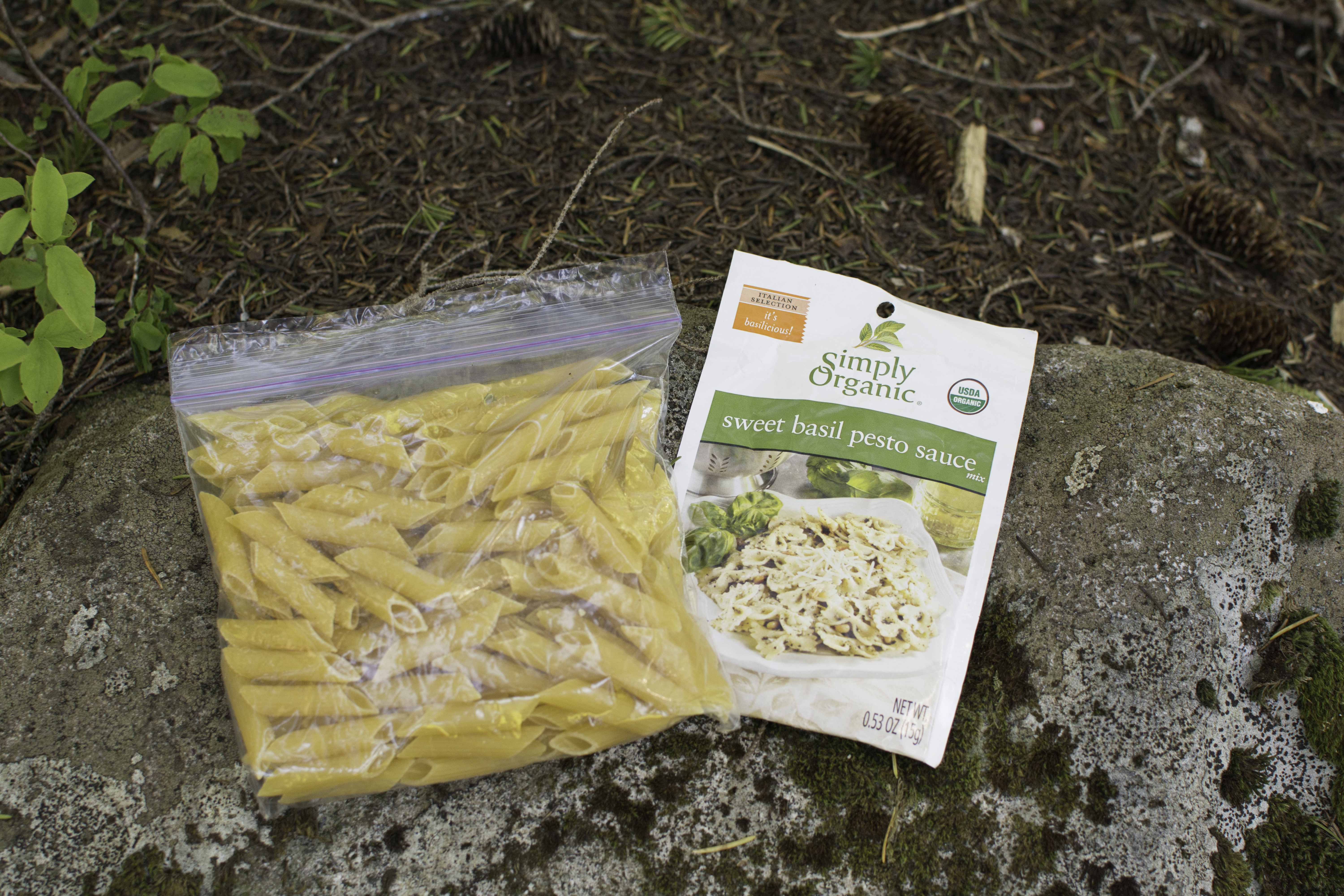 Food-22.jpg Pesto Pasta by Erik Haugen-Goodman