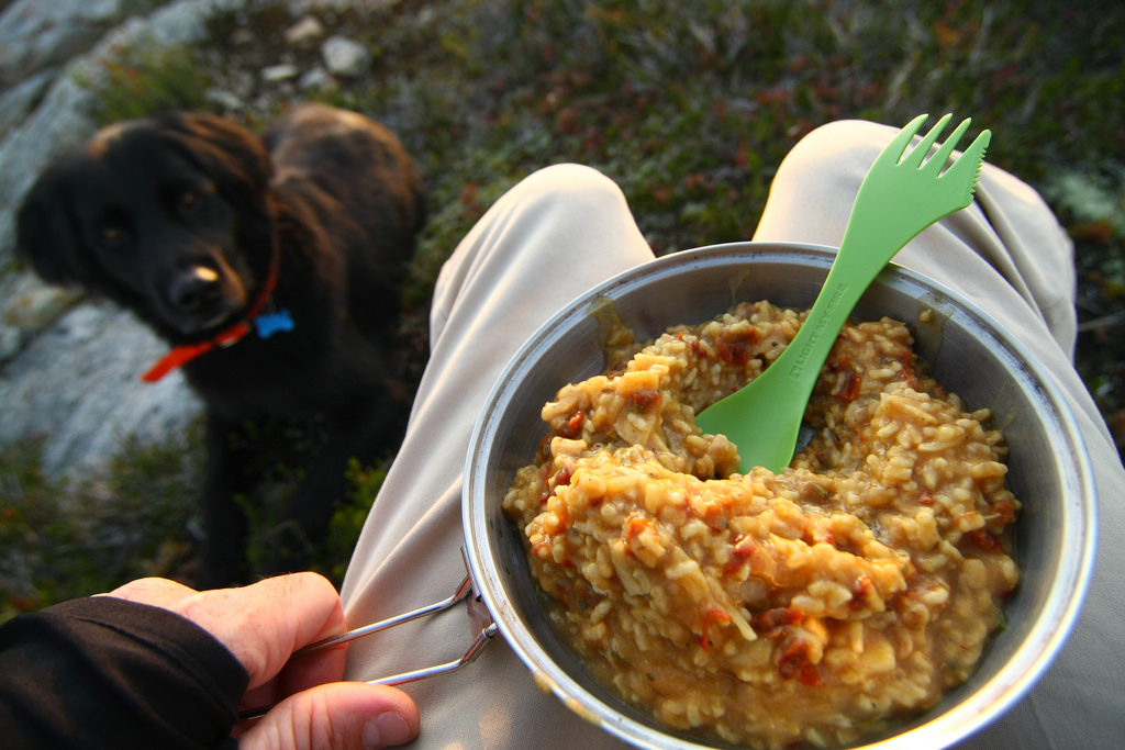Jambalaya by Tyler Mitchell
