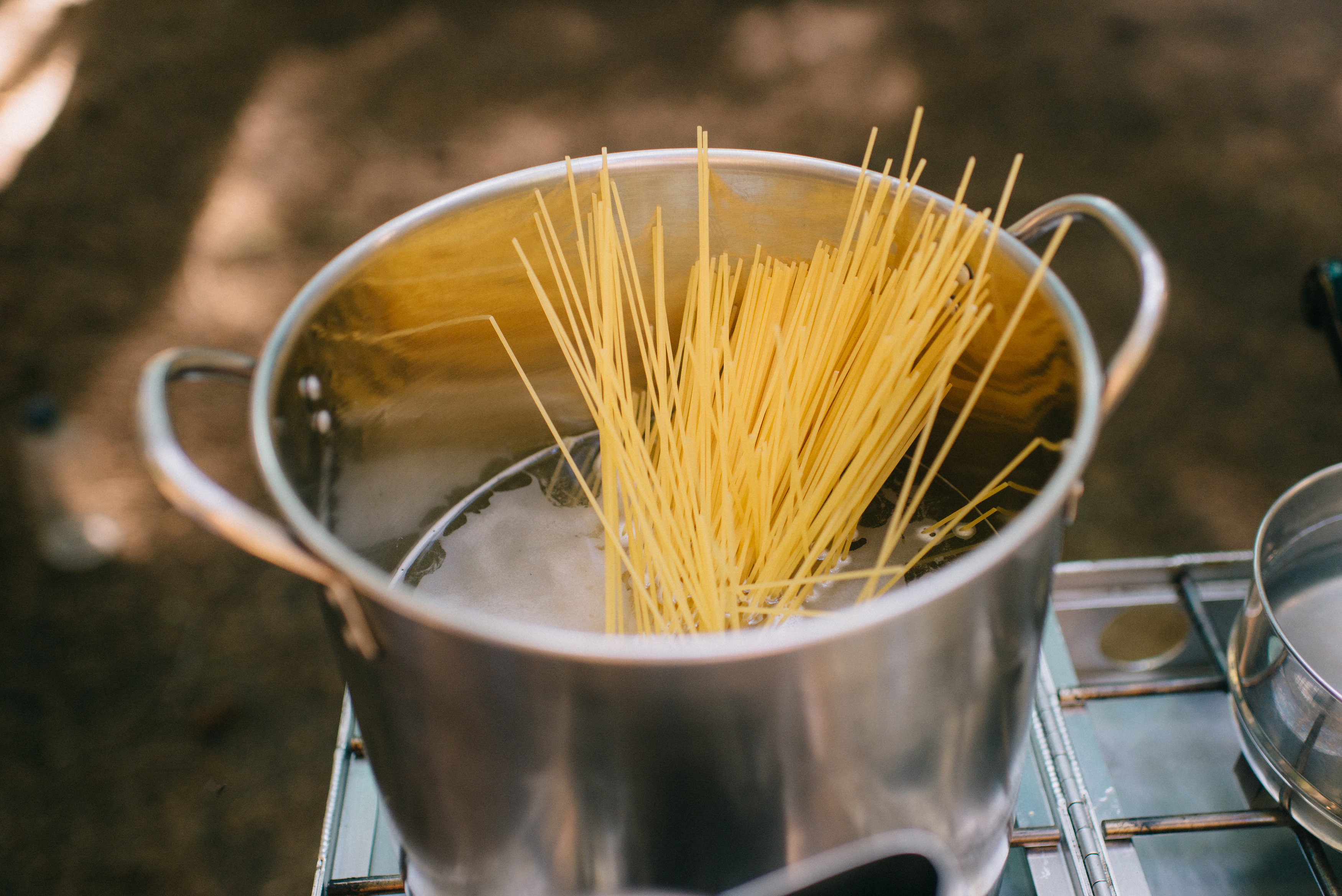 Suiattle River VV by Karen Wang (63).jpg Spaghetti Noodles by Karen Wang