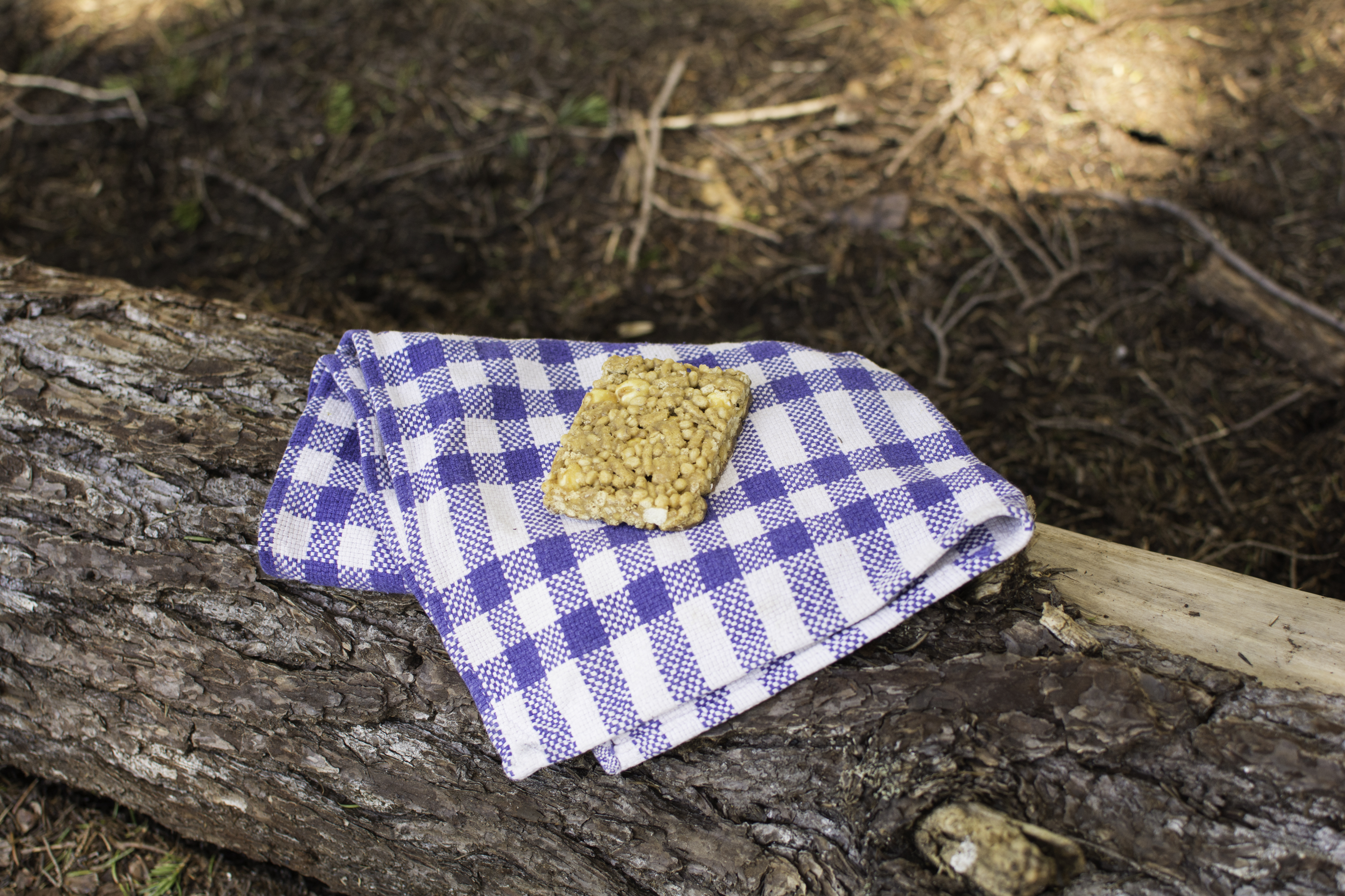 Quinoa Bar by Erik Haugen-Goodman